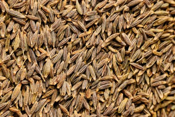 Whole cumin seeds