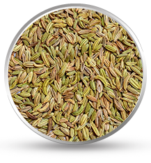 Fennel seeds